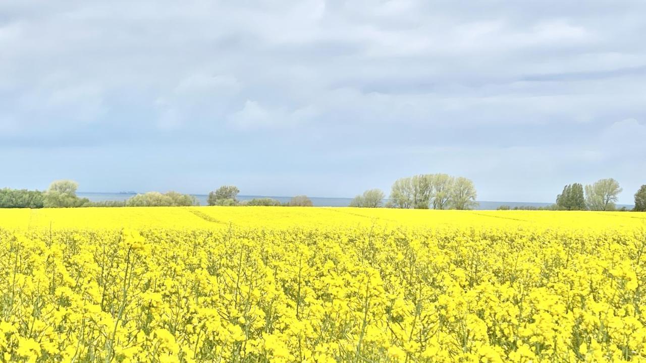 Vila Poeler Koje Kirchdorf  Exteriér fotografie